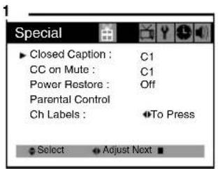 Special ► Closed Caption : C1 CC on Mute : C1 Power Restore : Off Parental Control Ch Labels : ◆To Press ► Select ◆ Adjust Next ■