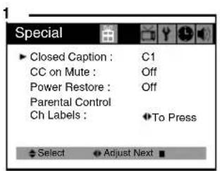 Special ► Closed Caption : C1 CC on Mute : Off Power Restore : Off Parental Control Ch Labels : ◆To Press Select ▼Adjust Next ■