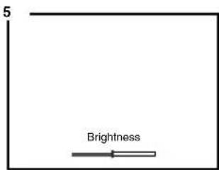 5 Brightness
