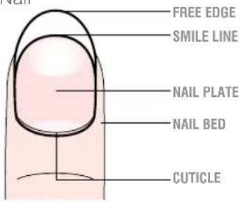 RIO NADC2 - KNOW YOUR NAILS - 1