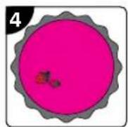 RIO NADC2 - STEP 3 - 1