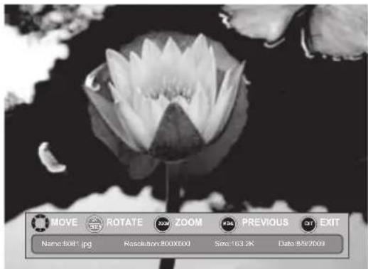 INSIGNIA NS-19E450WA11 - To browse photos: - 5