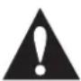 INSIGNIA NS-19E450WA11 - CAUTION RISK OF ELECTRIC SHOCK DO NOT OPEN - 1