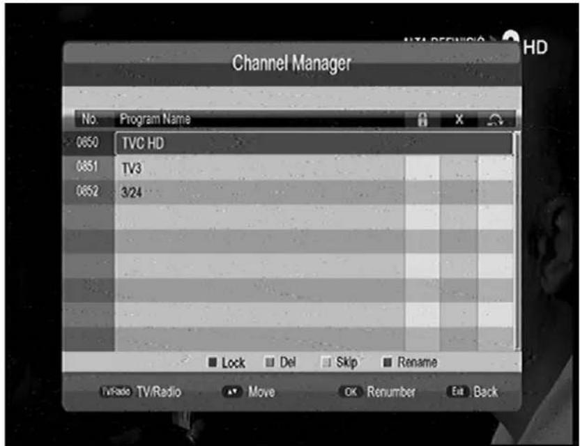 GoGen DVB 116 T2PVR - Channel Manager - 1