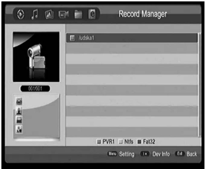 GoGen DVB 116 T2PVR - 5) AUFNAHMEMANAGER - 1