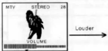 MTV STEREO 28 VOLUME Louder