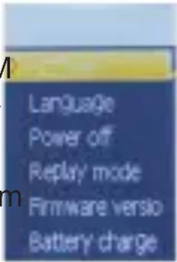 MAJESTIC SDA-1671R - 3.9: Setting - 1