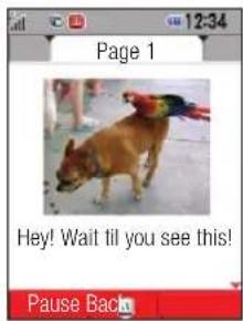 Page 1 Hey! Wait til you see this! Pause Back