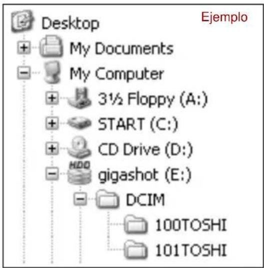 TOSHIBA Gigashot GSC-K80HE - Acerca de la configuración de archivos - 1