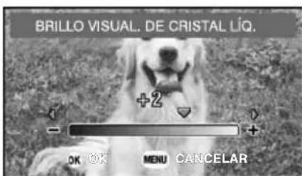 TOSHIBA Gigashot GSC-K80HE - Cambio del brillo del LCD desde el Menú de grabación (o lectura) - 2