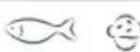 Fisher & Paykel H280XR - Recommended freezer storage times - 4