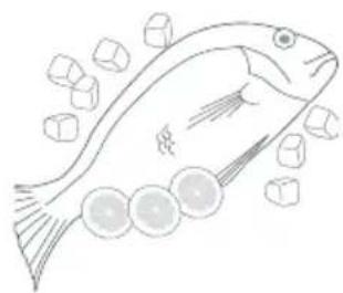 Fisher & Paykel H280XR - Fish and seafood - 1