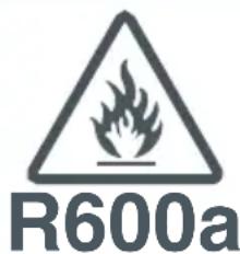 R600a