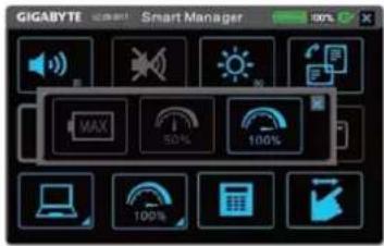 GIGABYTE Smart Manager MAX 50% 100%