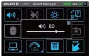 GIGABYTE Smart Manager 80 100%