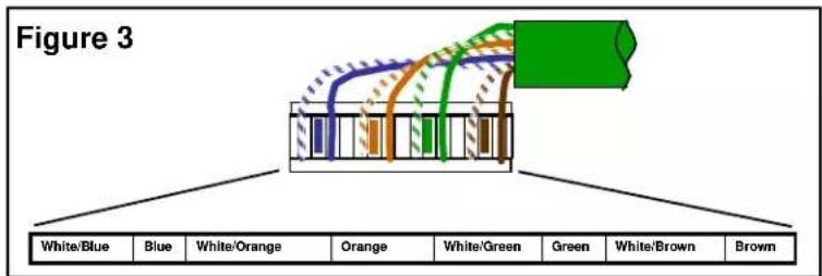 Figure 3 White/Blue Blue White/Orange Orange White/Green Green White/Brown Brown