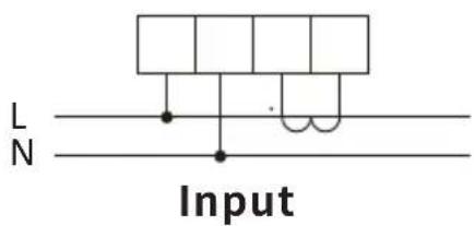L N Input