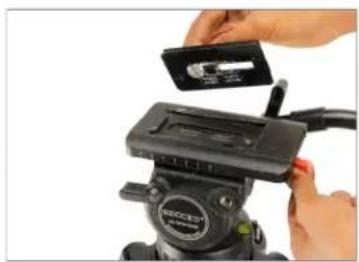 Close-up of hands installing a black clip device on a tripod (no visible text or symbols)