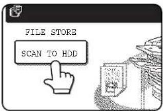 FILE STORE SCAN TO HDD