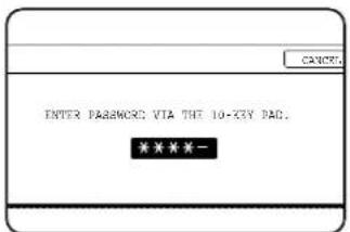 ENTER PASSWORD VIA THE 10-KEY PAD. *****-