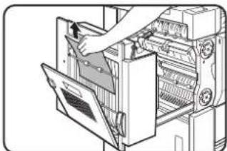 SHARP MX-M550N - Remove the misfed paper. Misfeed in upper part of unit - 1