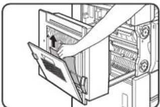 SHARP MX-M550N - Misfeed in lower part of unit - 1