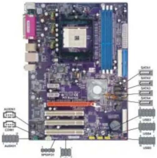 ECS NFORCE4-A754 - Connecting Optional Devices - 1