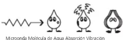 Microonda Molécula de Agua Absorción Vibración