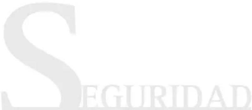 SEGURIDAD