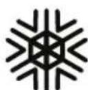 Blizzard SnowBlind - 2