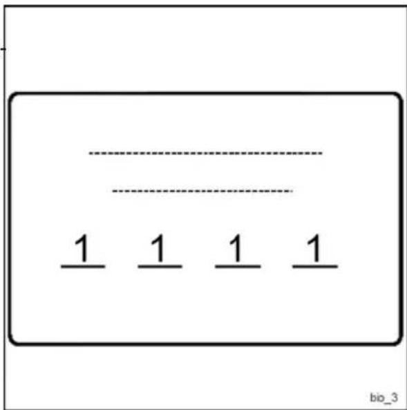 1 1 1 1 bio_3