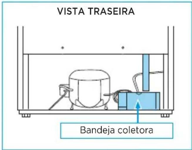 VISTA TRASEIRA Bandeja coletora