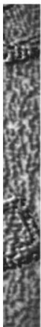 Ancient Chinese stone inscription with vertical classical text, likely a stele or inscription