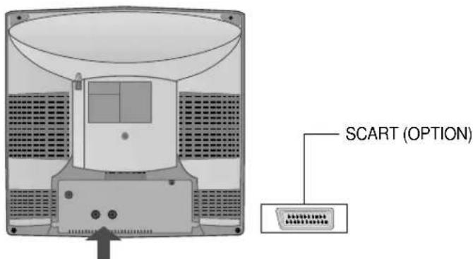 SCART (OPTION)