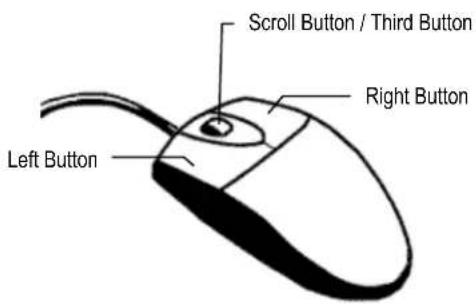 Scroll Button / Third Button Right Button Left Button