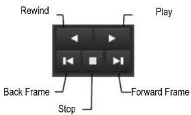 Rewind Play Back Frame Stop Forward Frame