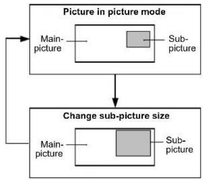 JVC LT-17S2 - Using the PCPIP function - 3