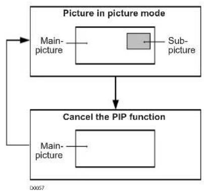 JVC LT-17S2 - Using the PCPIP function - 1