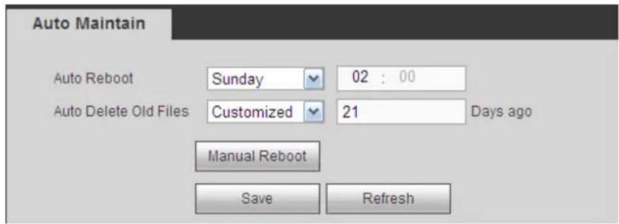 Auto Maintain Auto Reboot Sunday 02 : 00 Auto Delete Old Files Customized 21 Days ago Manual Reboot Save Refresh
