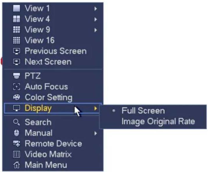 View 1 View 4 View 9 View 16 Previous Screen Next Screen PTZ Auto Focus Color Setting Display Search Manual Remote Device Video Matrix Main Menu Full Screen Image Original Rate