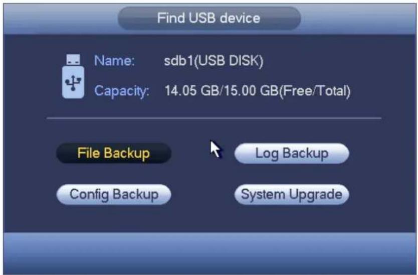 Find USB device Name: sdb1(USB DISK) Capacity: 14.05 GB/15.00 GB(Free/Total) File Backup Log Backup Config Backup System Upgrade