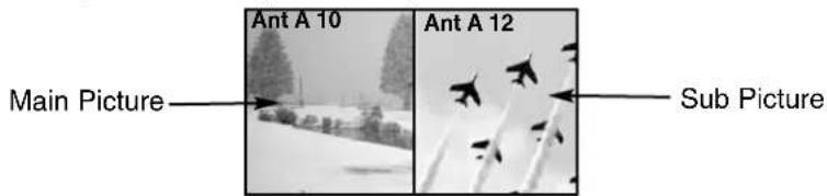 Main Picture Ant A 10 Ant A 12 Sub Picture