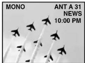 MONO ANT A 31 NEWS 10:00 PM