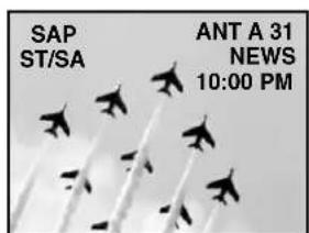 SAP ST/SA ANT A 31 NEWS 10:00 PM