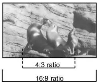 4:3 ratio 16:9 ratio
