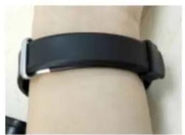 BRIGMTON BSPORT-14-A - ADJUSTING BELT - 1