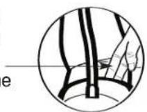 Walgreens 518732 - USING THE ARM CUFF - 6