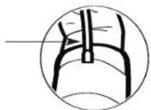 Walgreens 518732 - USING THE ARM CUFF - 4
