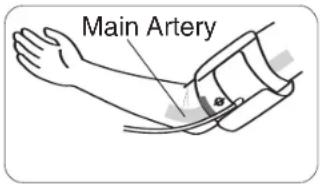 Main Artery