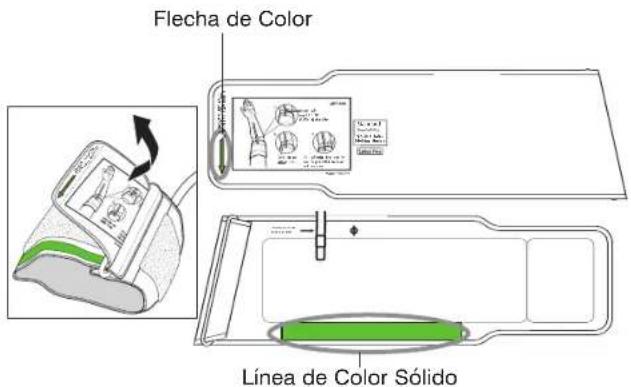 Flecha de Color LÍNEA de Color SÓLIDO